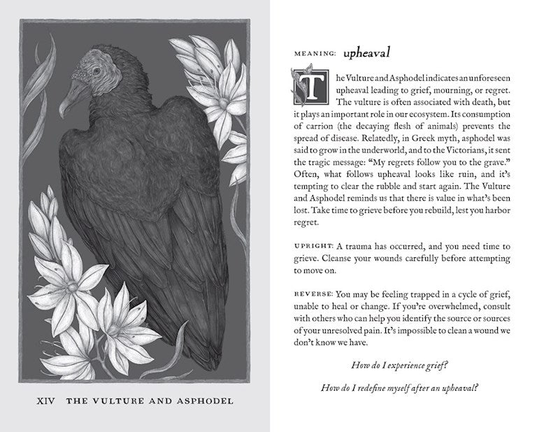 Woodland Wardens 52 Card Oracle Deck