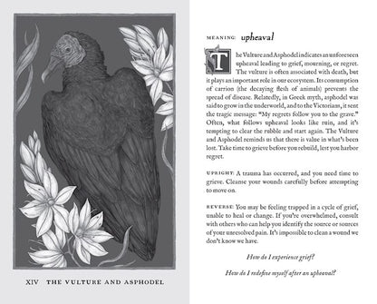 Woodland Wardens 52 Card Oracle Deck