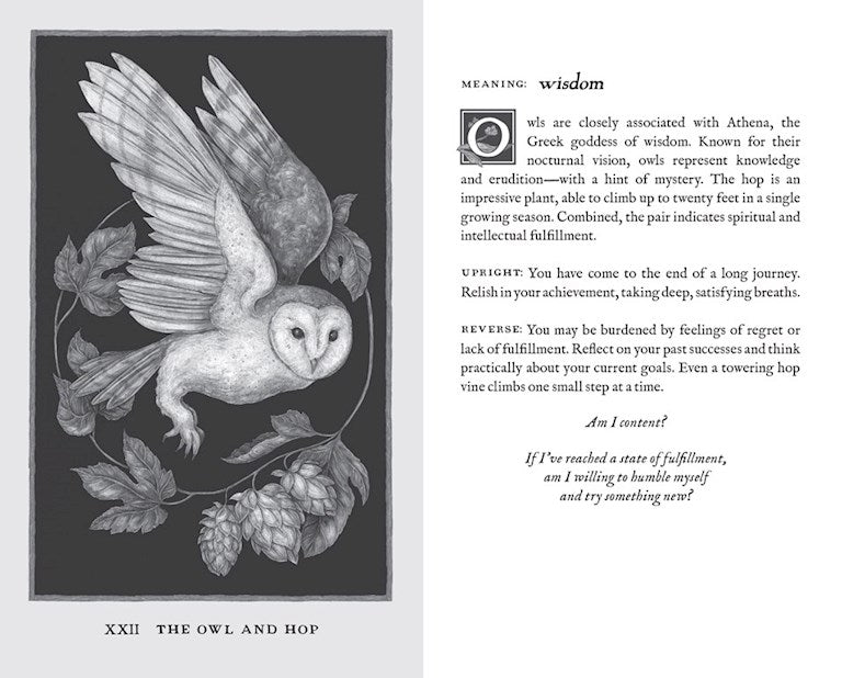 Woodland Wardens 52 Card Oracle Deck