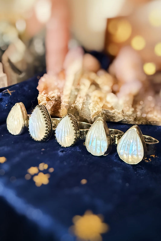 Seashell Moonstone sterling silver rings on celestial stamped bands sizes 5.5-9